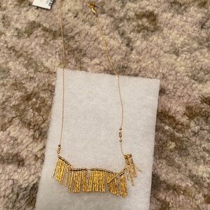 Gorjana Gold Fringe Necklace